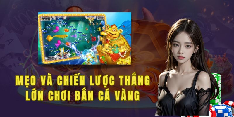 Mẹo và chiến lược để thắng lớn trong bắn cá vàng